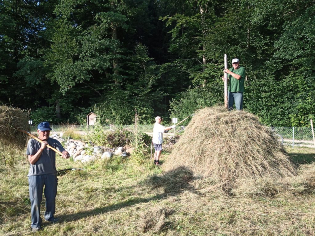 Schon bald sind wir fertig mit der Schweisstreibenden Arbeit