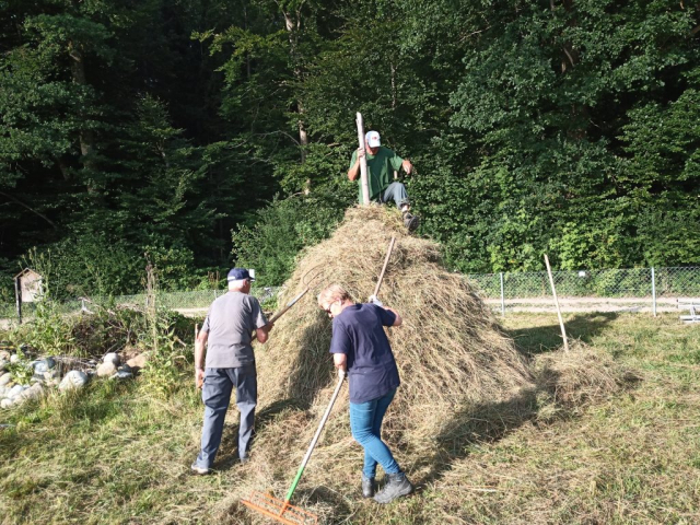 Noch die Resten zusammenkehren